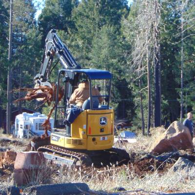 TREE SERVICES